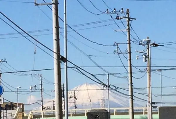 東真土