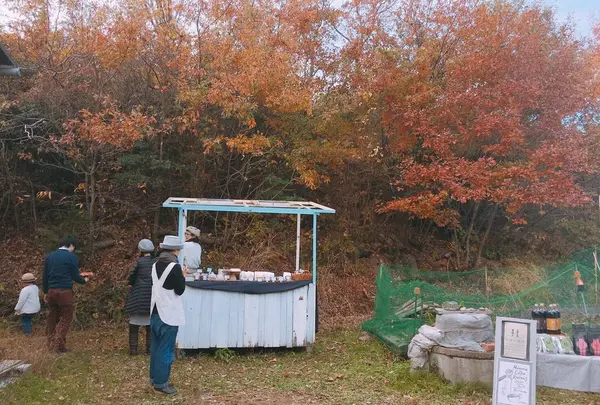toitoitoi bake house
