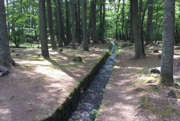 名水「三分一湧水」