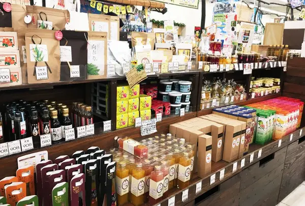 ビッグツー奄美店の写真・動画_image_285529