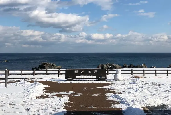 種差海岸