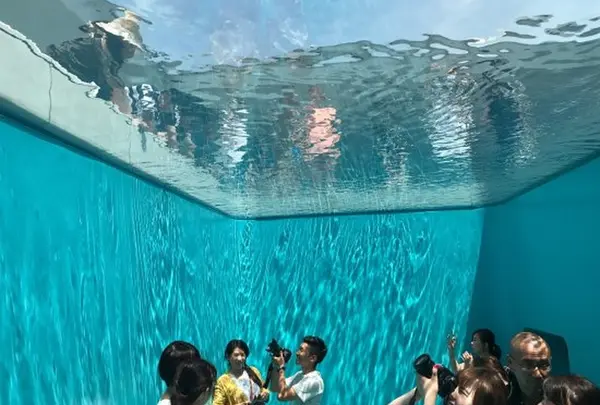 金沢21世紀美術館