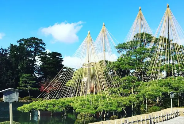 兼六園の写真・動画_image_287350