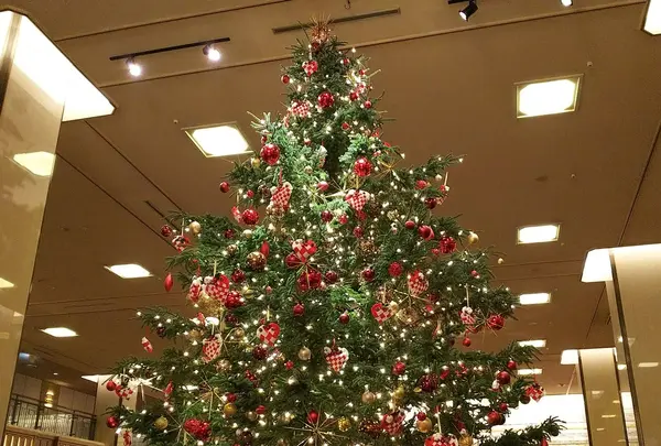 帝国ホテルの写真・動画_image_287655