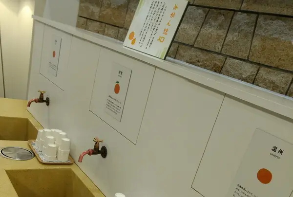 道後やや