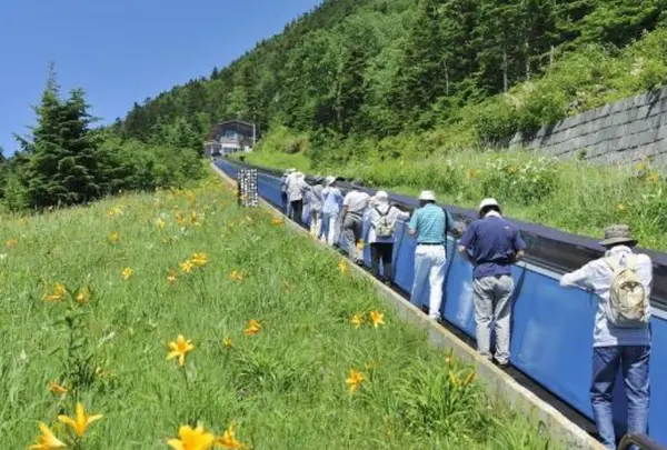 横手山スカイレーターとスカイペアリフト