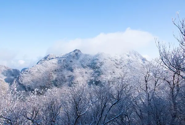 雲仙ロープウェイ