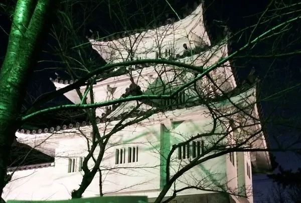 津城跡(天守)の写真・動画_image_290724