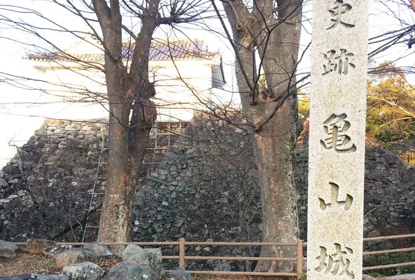 旧亀山城多門楼の写真・動画_image_290729