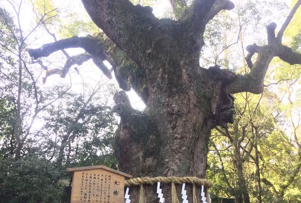 熱田神宮の写真・動画_image_290897