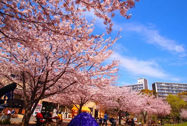 若潮公園