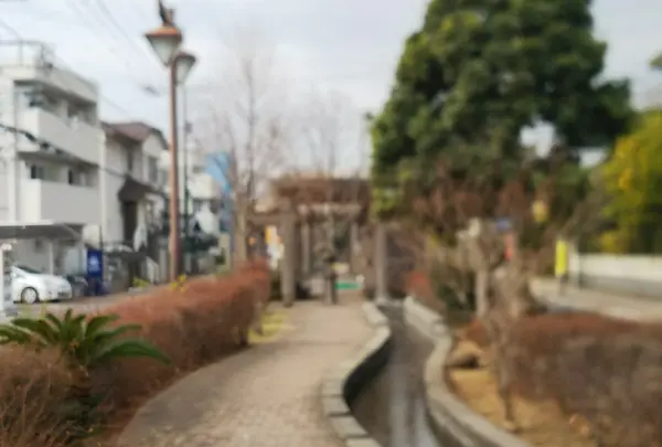 舟入緑道