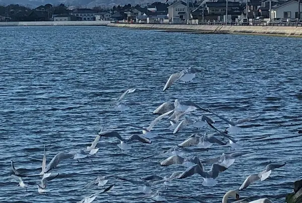 相馬市松ケ浦