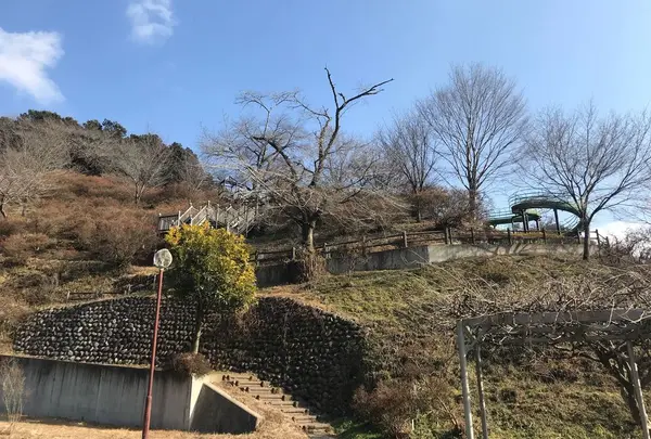 城山公園