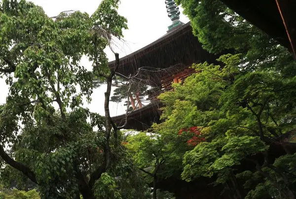 豪徳寺