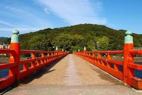朝霧橋の写真・動画_image_293185