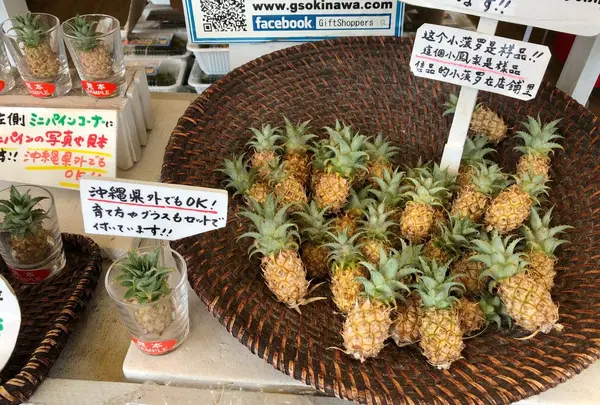 国際通りの写真・動画_image_293503