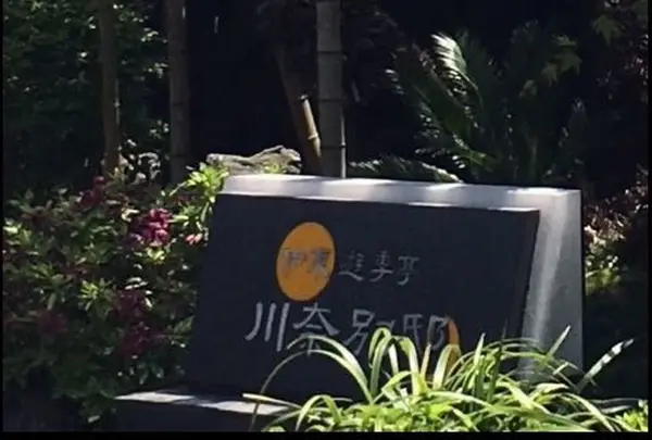 伊東遊季亭 川奈別邸の写真・動画_image_293504