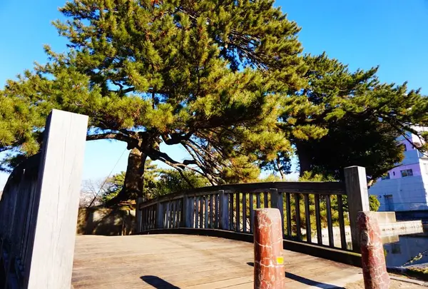 亀城公園の写真・動画_image_293752