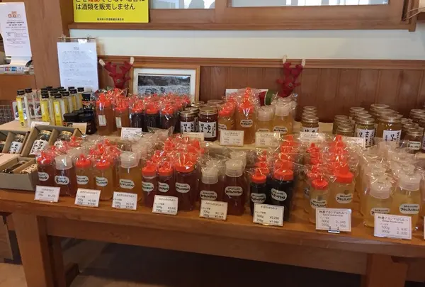 Honey Bの写真・動画_image_294596