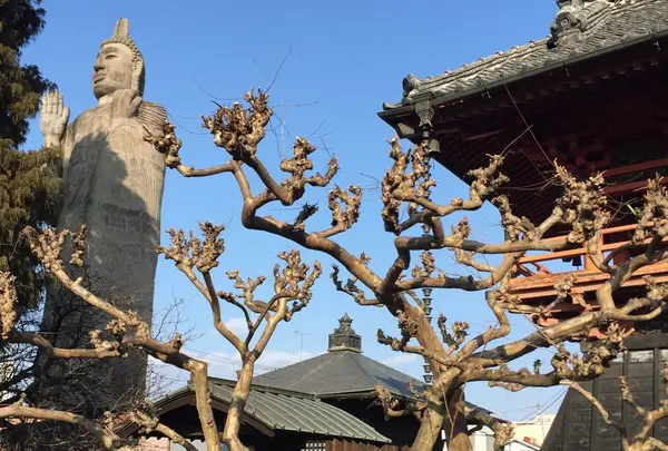 清林寺の写真・動画_image_294659