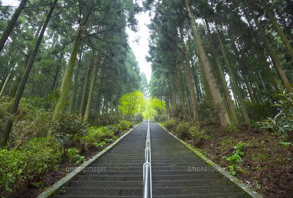 御坂遊歩道日本一石段