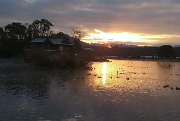浮島周辺水辺公園の写真・動画_image_295286