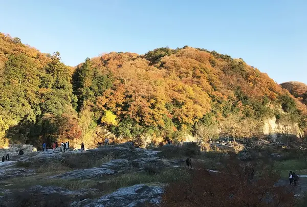 長瀞岩畳