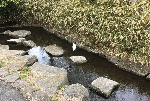 仙台堀川公園