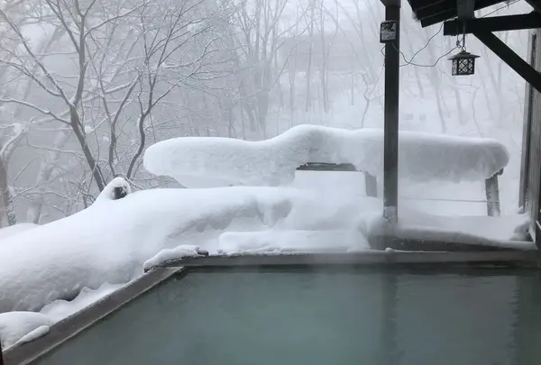 最上高湯善七乃湯 大平ホテル