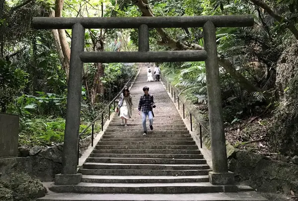 シルミチューの写真・動画_image_296806