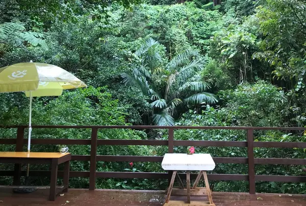 Cafe icharaの写真・動画_image_297764