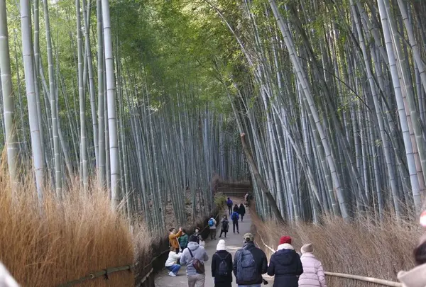嵐山