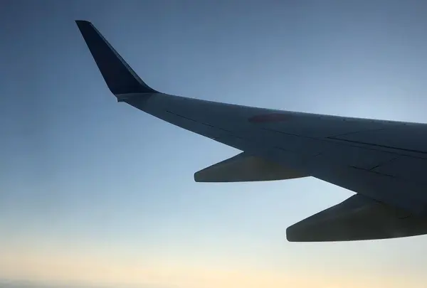 宮崎空港（宮崎ブーゲンビリア空港）の写真・動画_image_298250