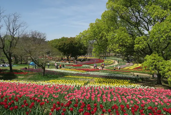 万博記念公園
