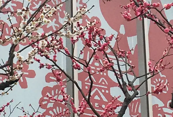 鈴廣 かまぼこの里の写真・動画_image_299465