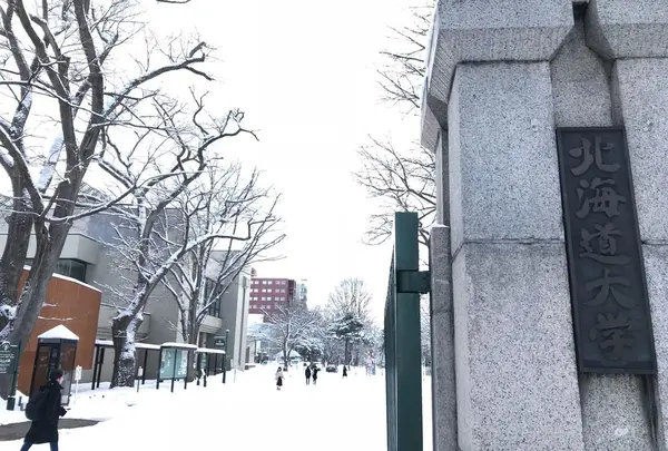 北海道大学の写真・動画_image_299496