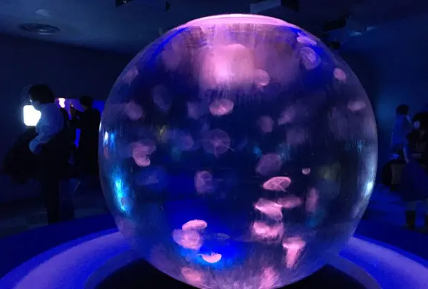 新江ノ島水族館