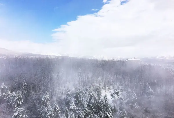 草津温泉