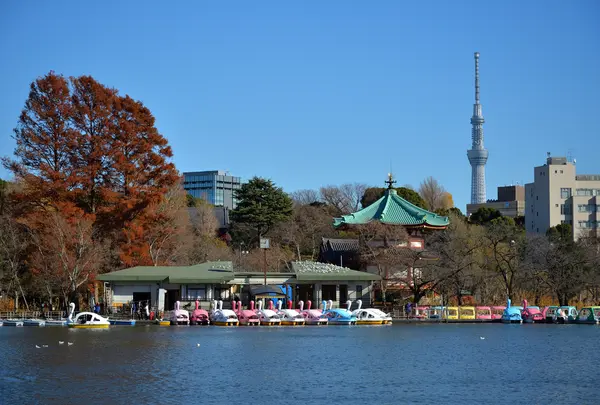 上野恩賜公園