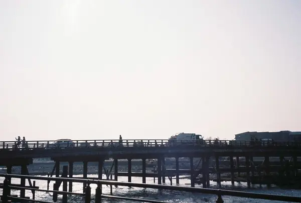 渡月橋の写真・動画_image_300888
