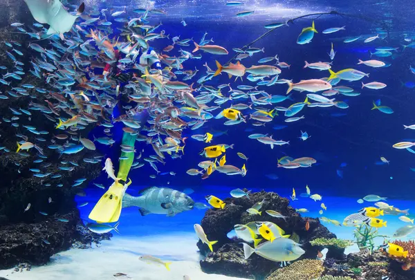 サンシャイン水族館