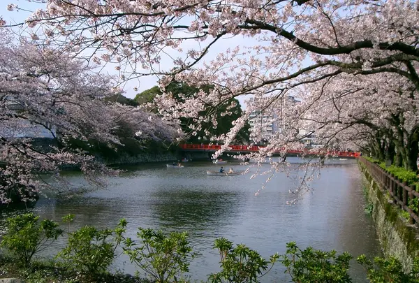 小田原城址公園