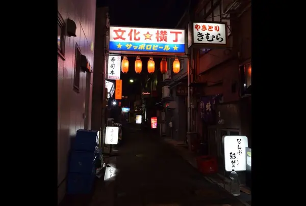 文化横丁の写真・動画_image_301757