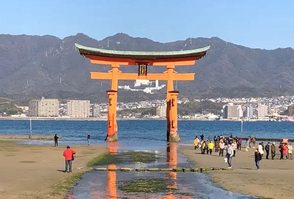 厳島神社の写真・動画_image_302735