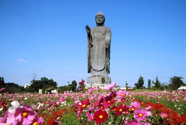 牛久大仏