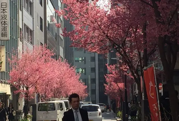 コレド室町