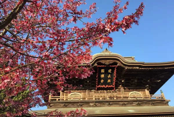 建長寺庭園