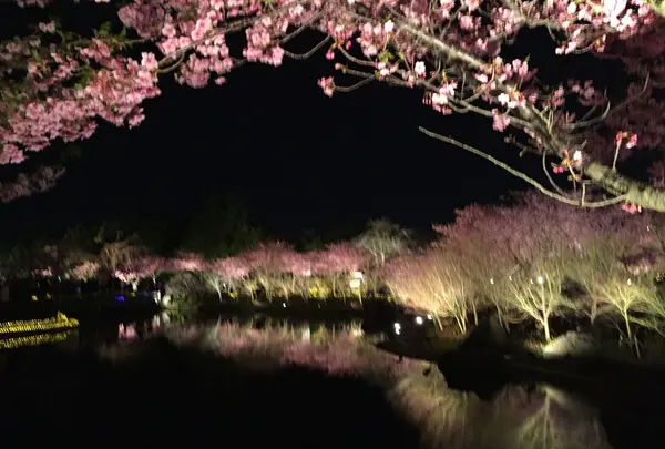 なばなの里