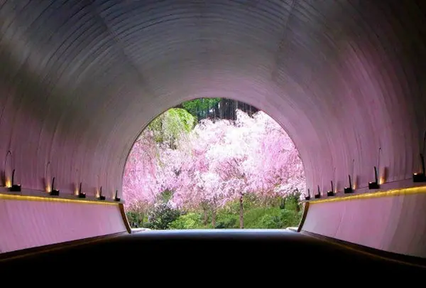 MIHO MUSEUM